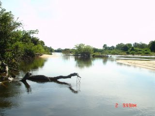 Pescaria Em Goias   Rio Cristalino E Araquaia De 03 A  (138)