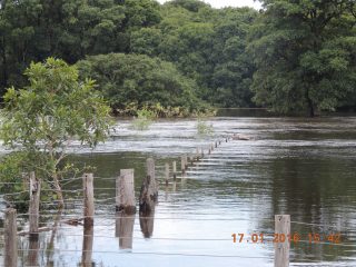 enchente no pantanal 007.JPG